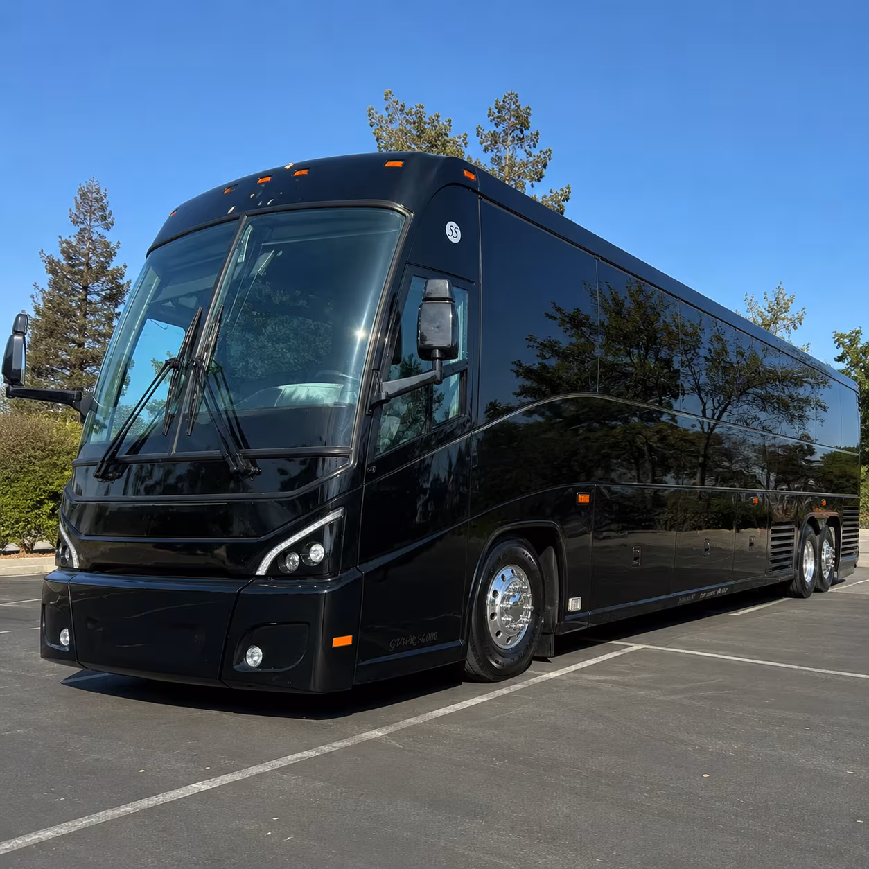 galveston cruise transfers and multi stop trips from pasadena
